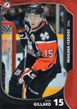 2013/14 Niagara IceDogs - MATT GILLARD