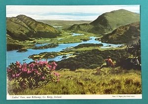 Kerry Ireland Killarney County • Man Enjoying Highland Vale View  - Picture 1 of 2