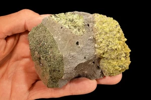 Peridot Basalt 4 1/2" 1 Pfund 10 Unzen natürliches Bergmineral Probe Heilkristall - Bild 1 von 1
