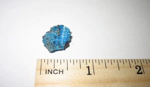 0,55" PICCOLO RARO GRAPPOLO CRISTALLO DI CALCANTITE NATURALE CON MATRICE ARIZONA USA 1,6g - Foto 1 di 3