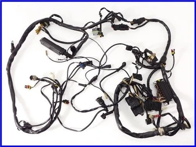 DUCATI 2001 996S Genuine main harness set 996 - Image 1 of 4