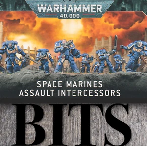Warhammer 40k Primaris Space Marine ASSAULT INTERCESSOR Bit Bits templar angel - Picture 1 of 75