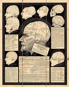 1867 Educational View of the Human Skulls. Poster Wall Art Poster Doctor Gift - Picture 1 of 3