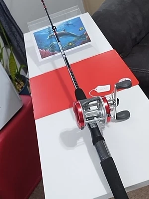 Удилище рыболовное для приманки Zebco Rino 6 футов среднее 6-14 фунтов и катушка Coastal Tuff - Изображение 1 из 4