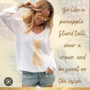 Wooden Ships Paola Buendia Damen Pullover Ananas V-Ausschnitt S/M Tropical - Bild 1 von 8