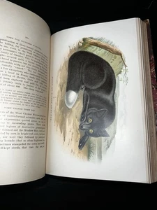 Antique Victorian Diseases And Enemies Of Poultry 1897 Pa Game Illustrated 1st - Picture 1 of 24