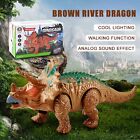 LED Eyes RC Dinosaur Toys with Roaring Sounds for Kids Toys Birthday Gifts