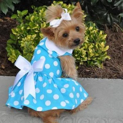 Clearance Sale Blue Polka Dot Dog Dress & Matching Leash  XS-S-M-L-XL - Image 1 of 3