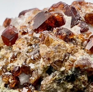 81 Gm Attractive Extremely Rare Hessonite Garnet Crystals On Matrix Specimen~Afg - Picture 1 of 7