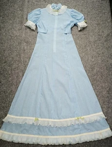 Vintage 70er langes blaues Gingham Kleid Plissee Chiffonborte Dorothy sm Rostflecken - Bild 1 von 16