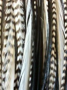 4-6 plumas de cebra blancas y negras grizzly genuinas para extensiones de cabello unidas Foto 1 de 4