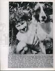 1952 Press Photo San Francisco Mona Tussman & Pet Dog She Has Polio - Nee05188