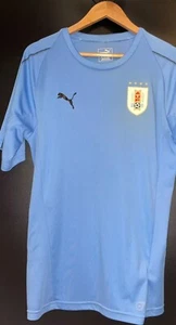 URUGUAY 2018-2019 ORIGINAL TRAININGSTRIKOT Größe L sehr schöner Zustand - Bild 1 von 7