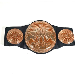 Cinturón título réplica WWE Tag Team Champions Kids 2014 Mattel en muy buena condición - Imagen 1 de 6