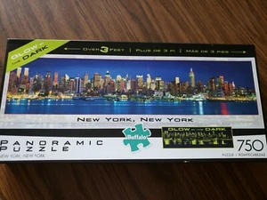 Glow in the Dark Panoramic Puzzle NY, NY 750 Piece by Buffalo Games - Picture 1 of 2