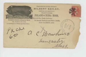  Mr Fancy Cancel Milbert Sayler Poland China Hogs New Market Ind 1898 Cvr #2270