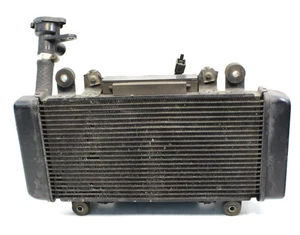 2015–2017 Kawasaki Z300 ABS Radiator 390600711 OEM - Picture 1 of 17