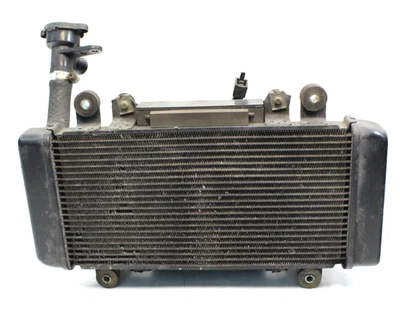 2015–2017 Kawasaki Z300 ABS Radiator 390600711 OEM - Image 1 of 4