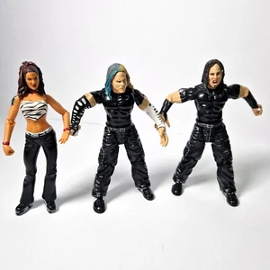 The Hardy Boys & Lita WWE/WWF Wrestling Figuren Jakks - Bild 1 von 5