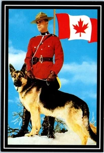 Royal Canadian Mounted Policeman with Dog, Canada Postcard - Picture 1 of 2