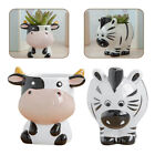 Ceramic Animal Flower Pot Set - Cow & Zebra Shape - Indoor Planter & Pen Holder