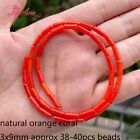 Column Coral Stone Beads - Natural Stones Loose Bead DIY Crafting Jewelry Making