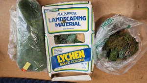 HO Scale Lychen Landscaping Material - Picture 1 of 1