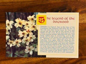 Cartolina d'epoca La leggenda del dogwood pubblicata da Valley Vedute Fiori - Foto 1 di 3