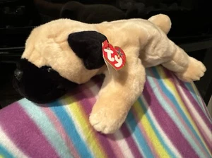 Mops Beanie Baby 2001 14 "Pugsly". - Bild 1 von 9
