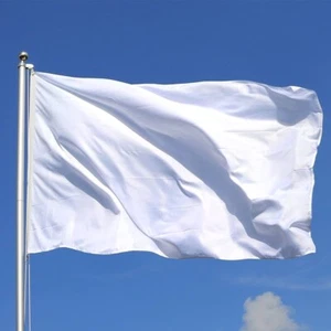 Bandera blanca lisa 3*2 pies 5*3 pies pequeña grande hágalo usted mismo - Imagen 1 de 1