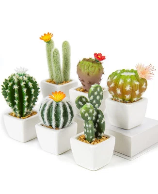 Six mini cactus, artificial plants, white ceramic pots, and beautiful, colorful, - Image 1 of 3