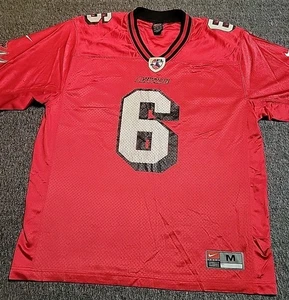 Vintage Sz MED Grand Rapids Rampage Jersey Nike Team Issue AFL #6 - Picture 1 of 14