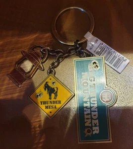 Disneyland Paris DANGEROUSLERS BIG THUNDER MOUNTAIN / BTM keychain / keychain - Picture 1 of 2