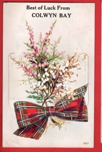 DENBIGHSHIRE    COLWYN BAY.  NOVELTY PULL OUT. pu 1956 - Picture 1 of 1