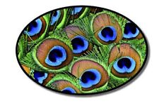 Peacock Feathers Oval Vinyl Sticker - SELECT SIZE