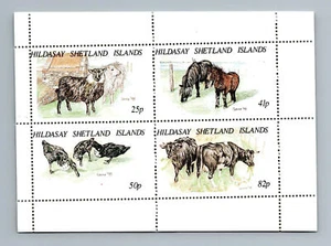 Hildasay Shetland Islands, Domestic Animals, Black MNH M/S #M1067 - Picture 1 of 1