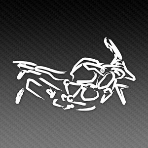 R1250GS ADV Kalligraphie Motorrad Aufkleber Sticker 15x8cm - Picture 1 of 3