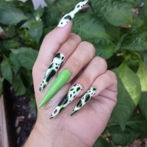 Green Cow print Press On Nails  - Picture 1 of 2