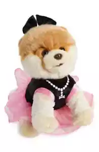 Nordstrom Boo Popstar World's Cutest Dog Gund Stofftier Pomarian Plüsch - Bild 1 von 1