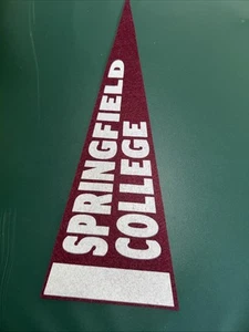 Springfield College Small pennant - Picture 1 of 1