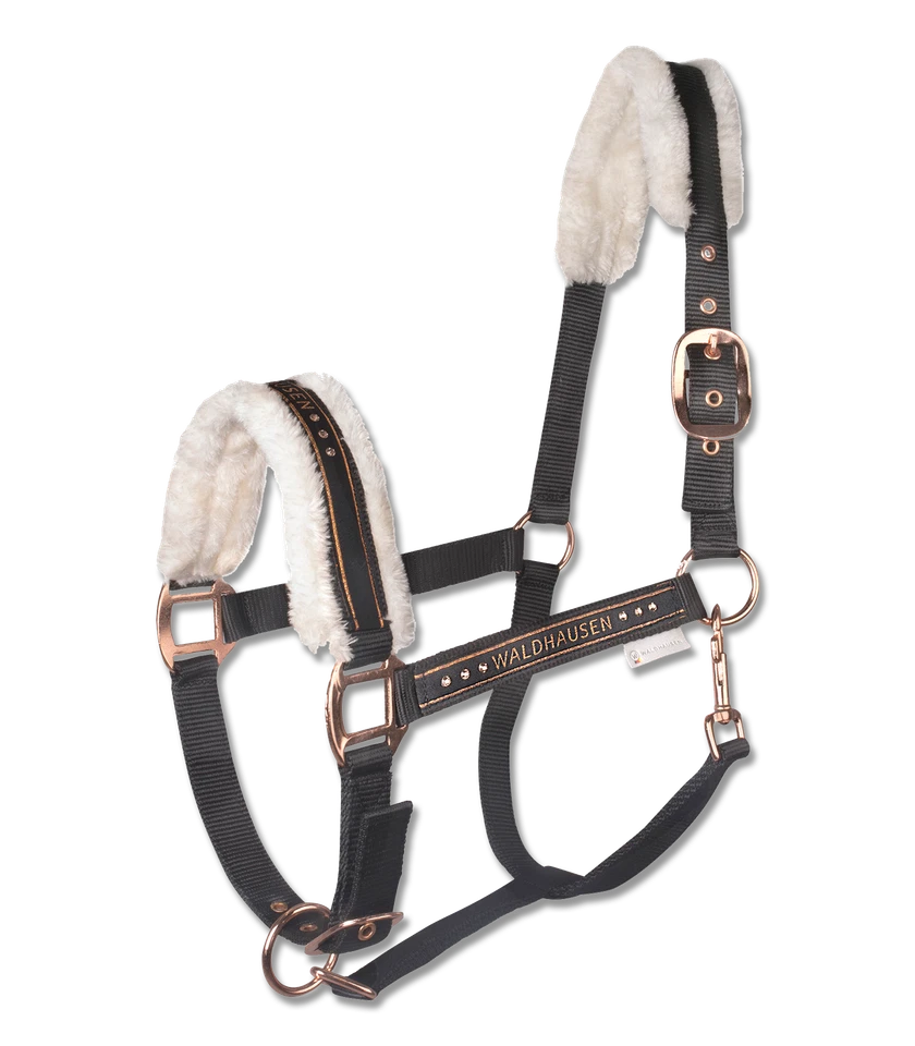 Halfter ELEGANT Waldhausen Horse Fashion NEUWird in neuem Fenster oder Tab geöff