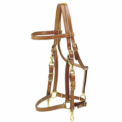 Кожаная уздечка Tory Tory Harness - Изображение 1 из 1