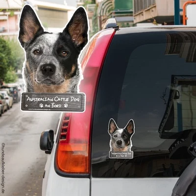 Australian Cattle Dog an Bord Autoaufkleber 10cm o. 20cm |  KFZ  Aufkleber 0977 - Bild 1 von 2