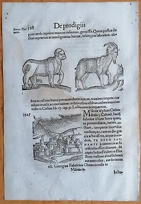 Wolfhart Chronicon Originalblatt Monster Himmelserscheinungen  (598) 1557 • 40€