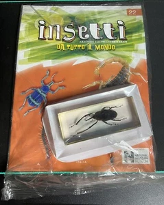 Insetti da tutto il mondo n.22 - Picture 1 of 2