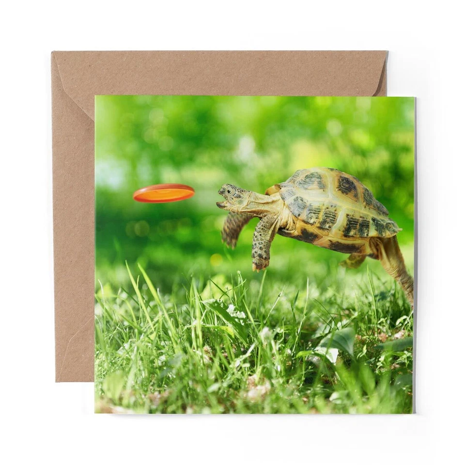 DV DESIGN 1 x Blank Greeting Card Tortoise Turtle Jumping Frisbee #14390