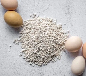 Carbonato de calcio para pollos - Cáscara de aves de corral y constructor de huesos - Arañazos de pollo - Imagen 1 de 5