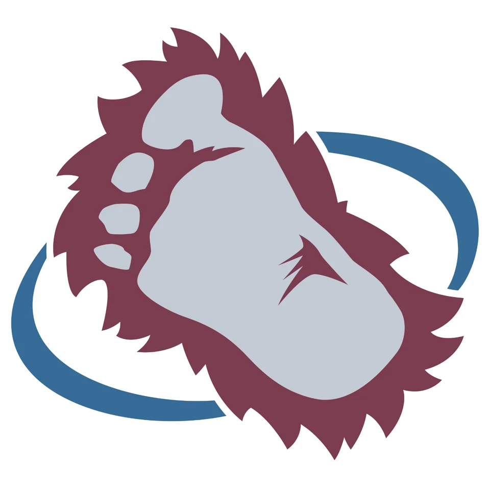 SSSCO Colorado Avalanche NHL Weather Resistant Vinyl Die Cut Sticker Decal 05