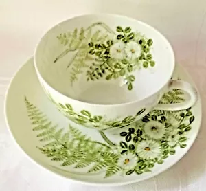1898 ANTIQUE H&Co HAVILAND LIMOGES CUP & SAUCER, DAISIES, VERY THIN PORCELAIN - Picture 1 of 12