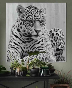 Glass Wall Art Picture Photo Animal Cheetah Nature Africa 100*100cm Print Image - Picture 1 of 4